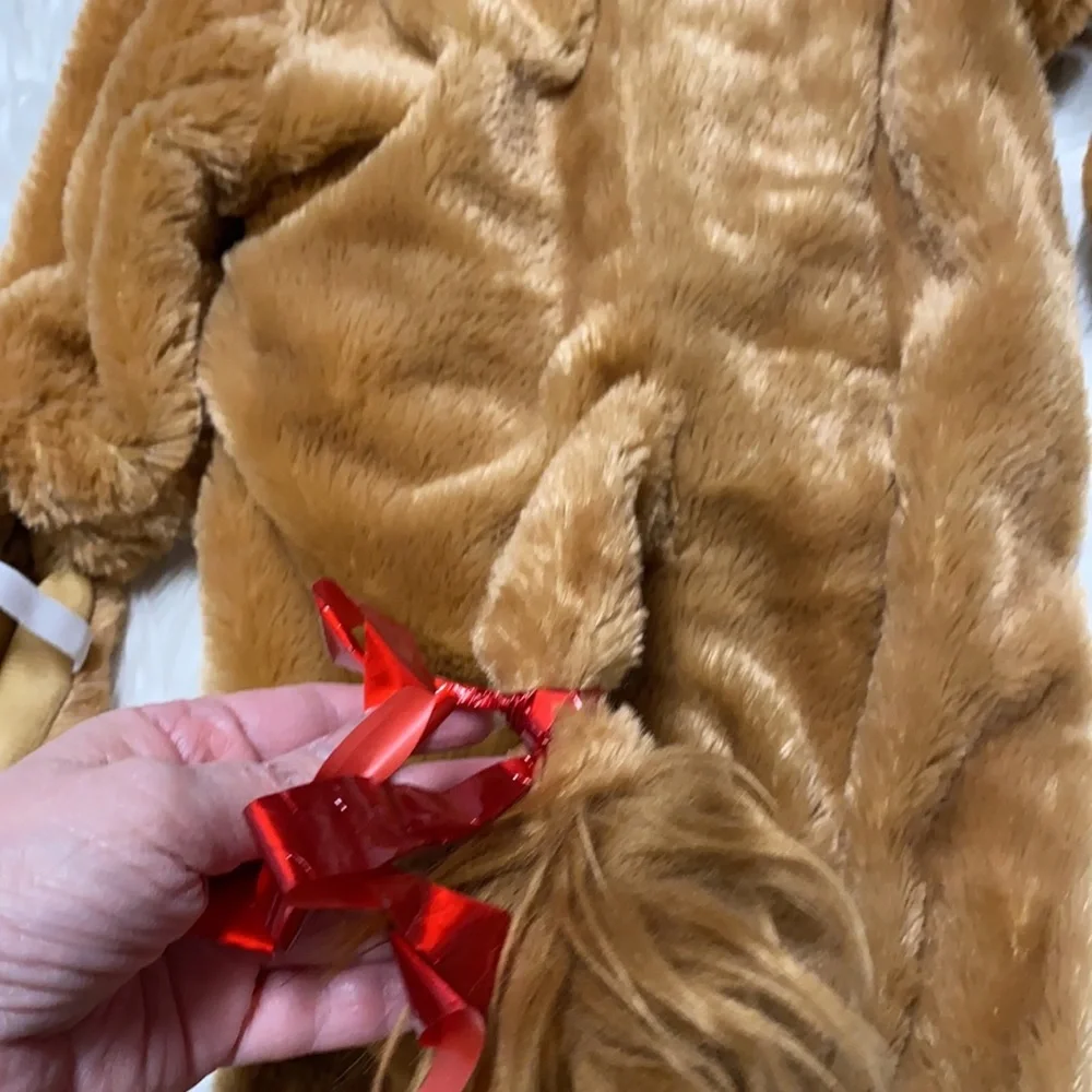 Lion Halloween Costume Size 12 Months